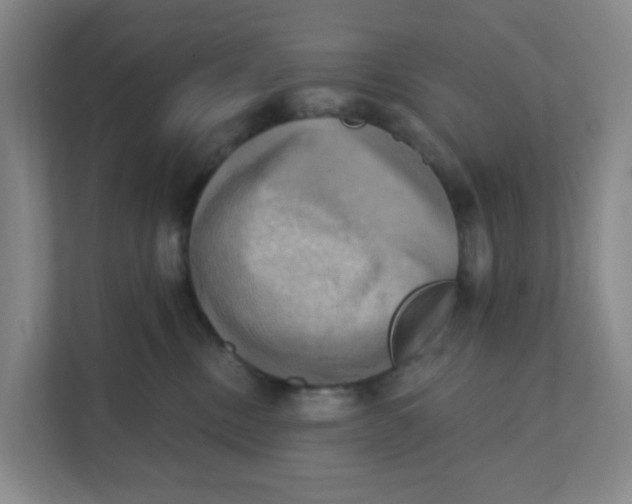 X0000111360378200907311017