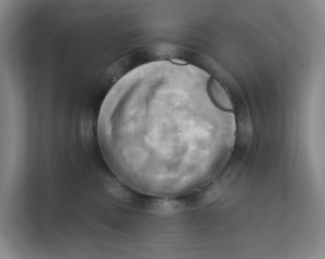 X0000111360379200907311018