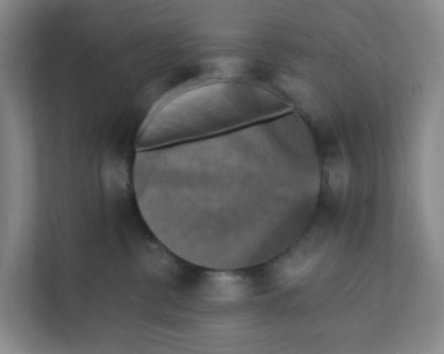 X0000111360380200907311018