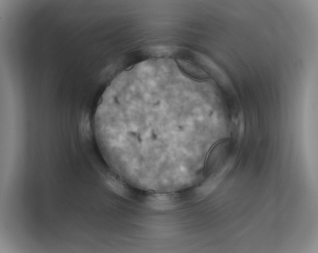 X0000111360381200907311018