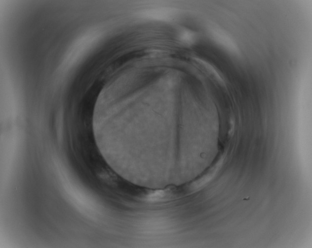 X0000111360382200907311018