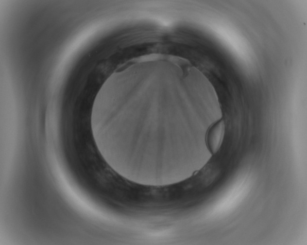 X0000111360383200907311018