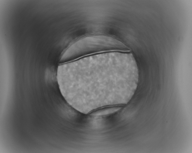 X0000111360384200907311018