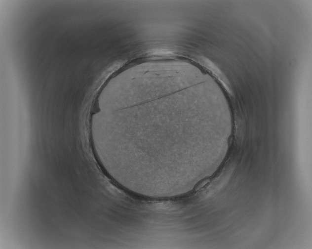 X0000111360385200907311017