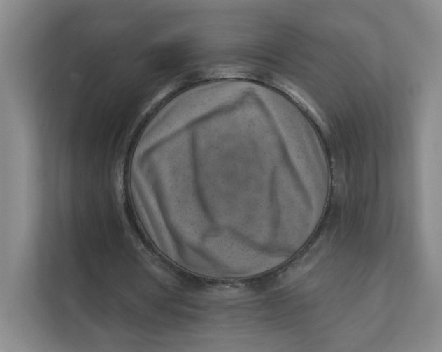 X0000111360386200907311017