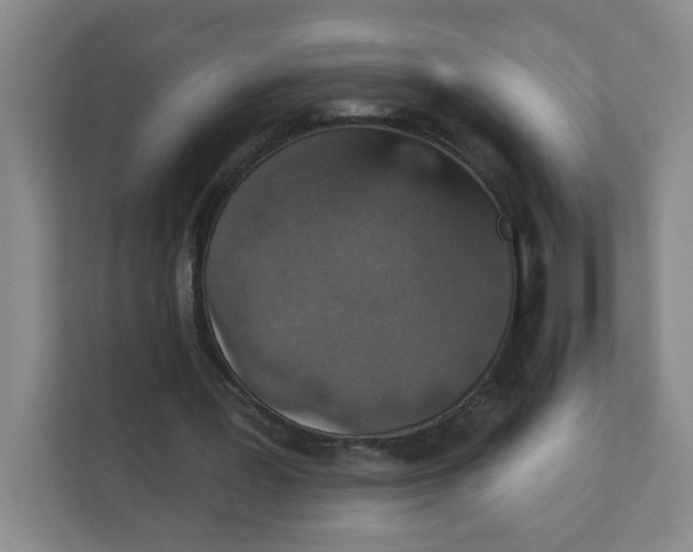 X0000111360387200907311017