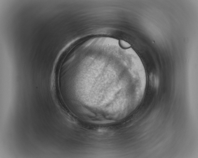 X0000111360388200907311017