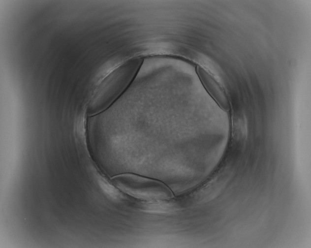 X0000111360389200907311017