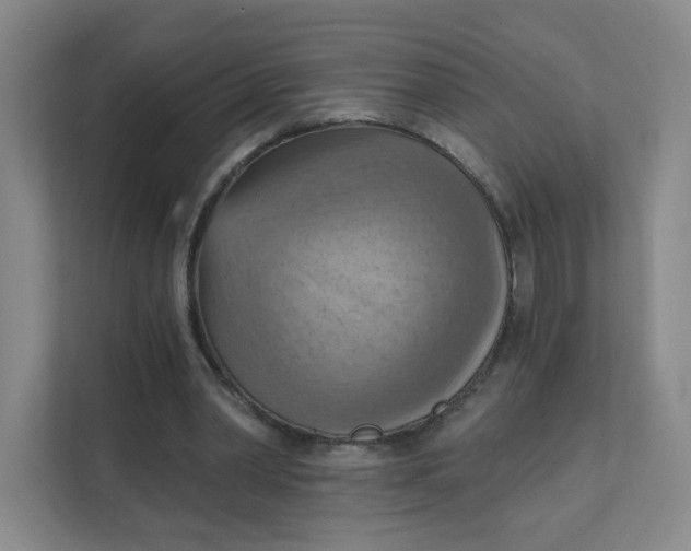 X0000111360390200907311017