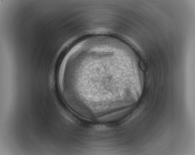 X0000111360392200907311017