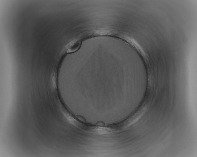 X0000111360393200907311017