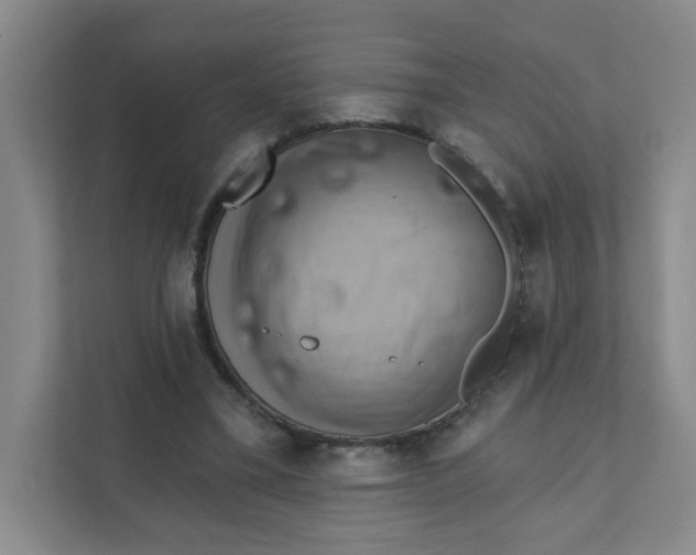 X0000111360395200907311017