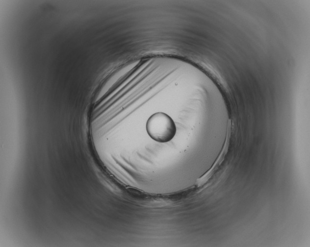 X0000111360397200907311017