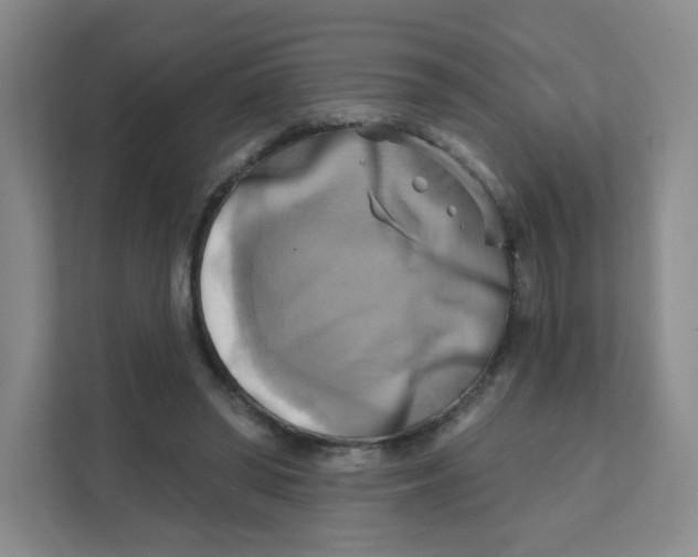 X0000111360398200907311017