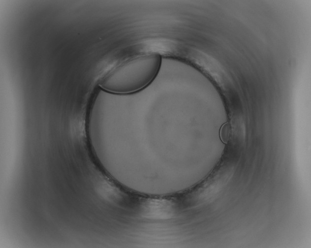 X0000111360399200907311017