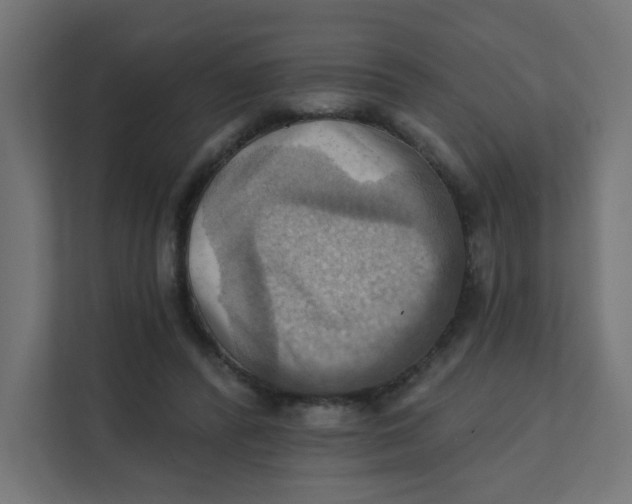 X0000111360400200907311017