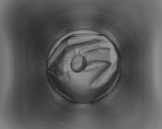 X0000111360401200907311017