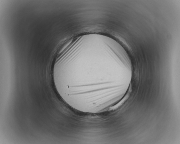 X0000111360403200907311017