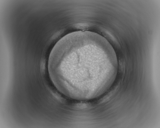 X0000111360404200907311017