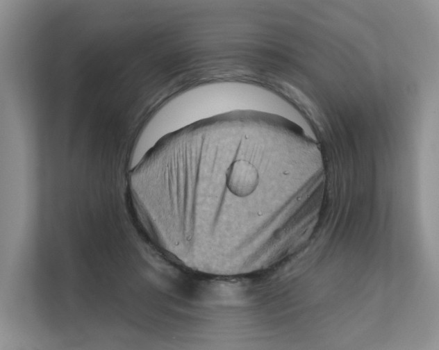 X0000111360405200907311017