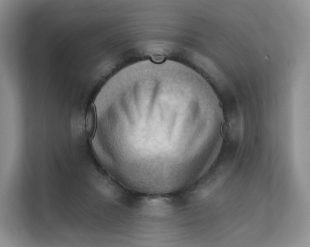 X0000111360407200907311017