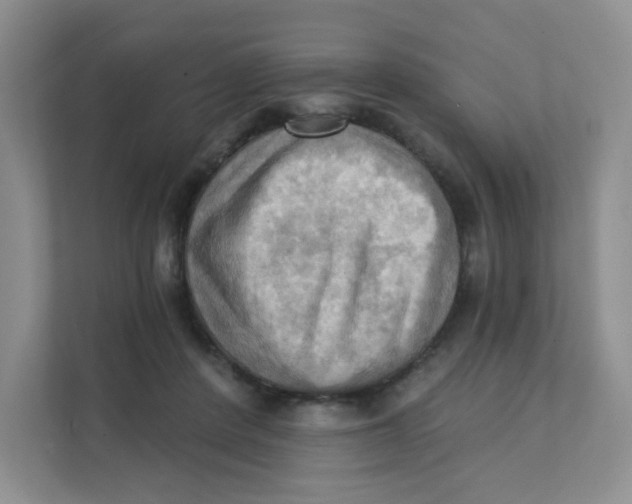 X0000111360408200907311017