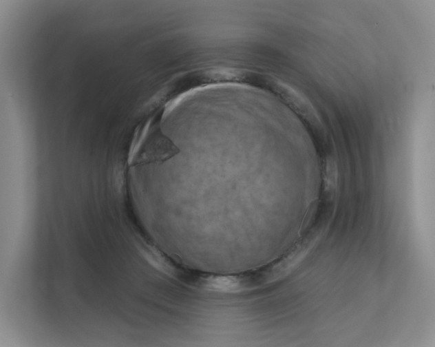 X0000111360409200907311017