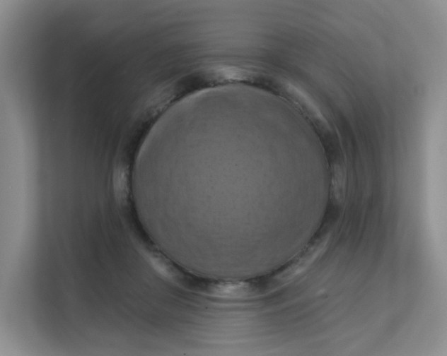 X0000111360410200907311017