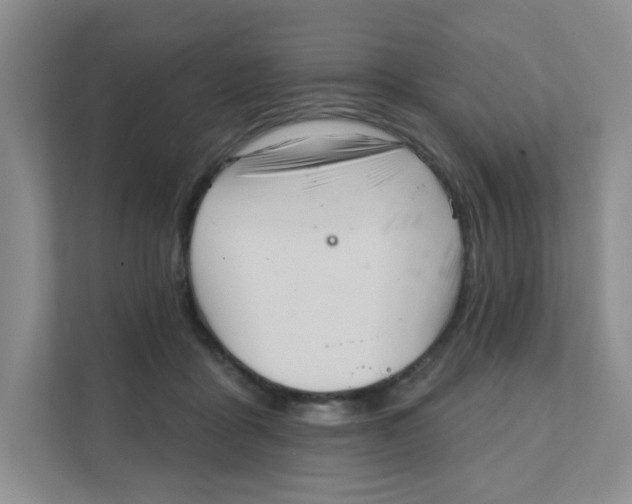 X0000111360411200907311017