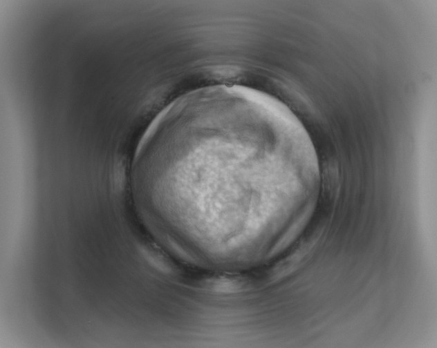 X0000111360412200907311017