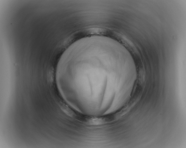 X0000111360413200907311017