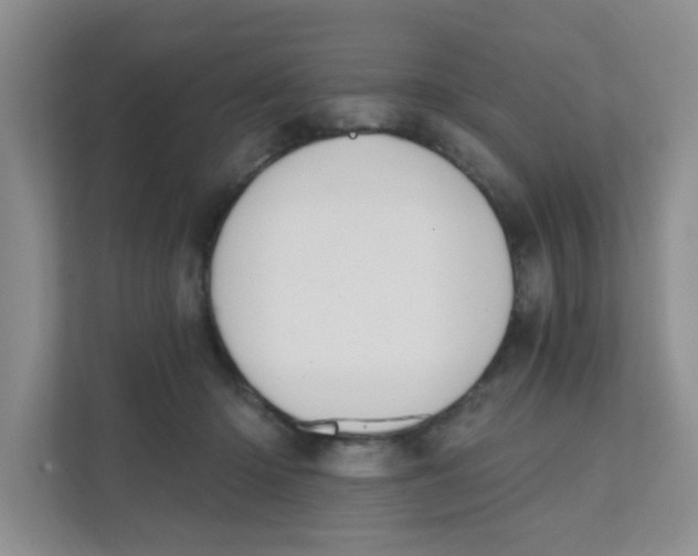 X0000111360414200907311017