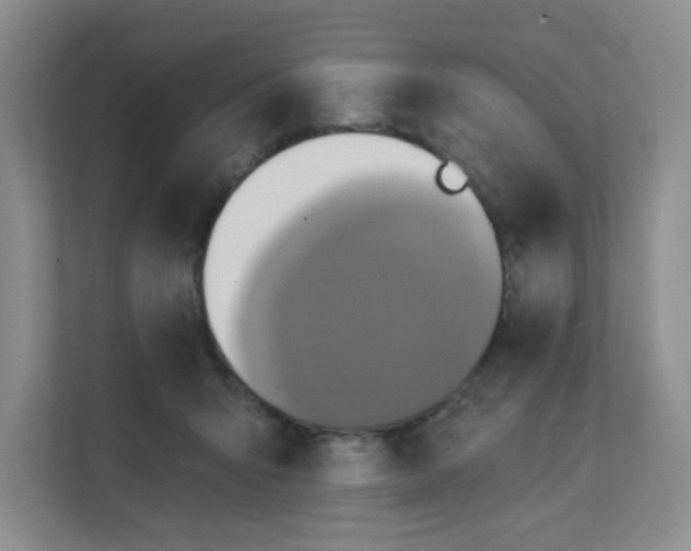 X0000111360415200907311017