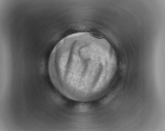 X0000111360416200907311017