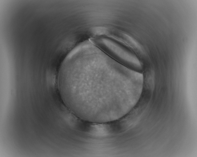 X0000111360417200907311017