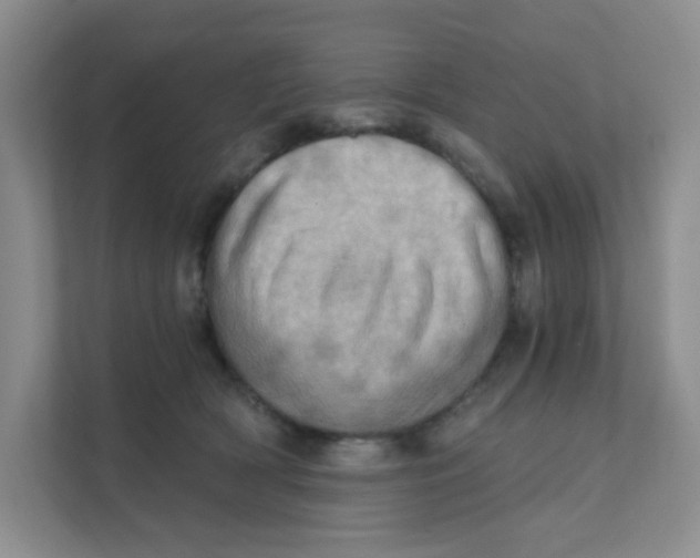 X0000111360418200907311017