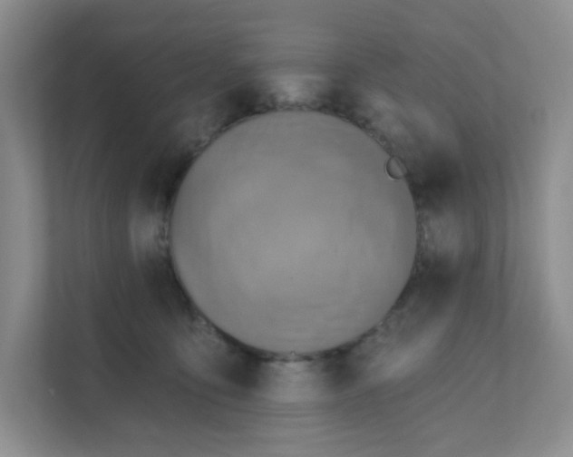 X0000111360419200907311017