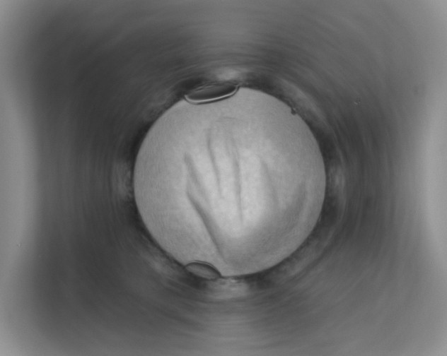 X0000111360421200907311016