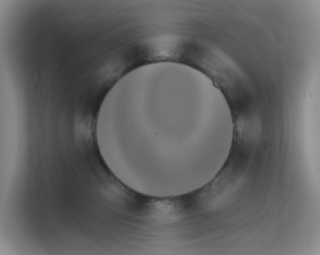 X0000111360423200907311016