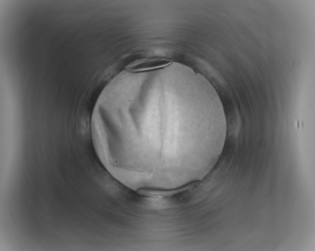 X0000111360425200907311016