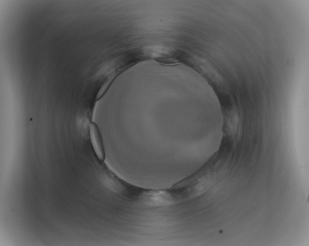 X0000111360427200907311016