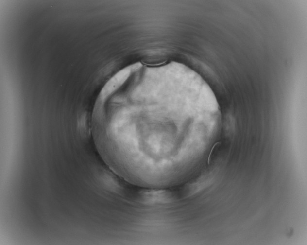 X0000111360428200907311016