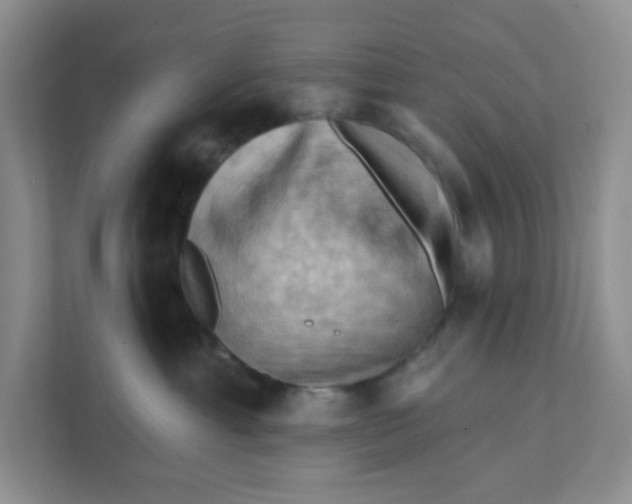 X0000111360429200907311016