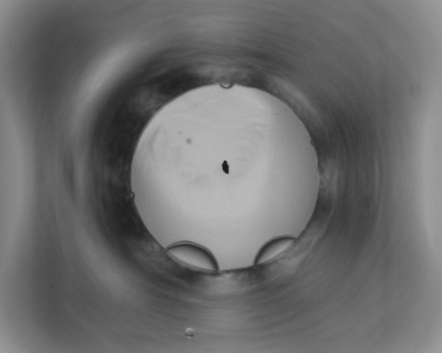 X0000111360430200907311016