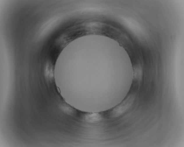 X0000111360431200907311016