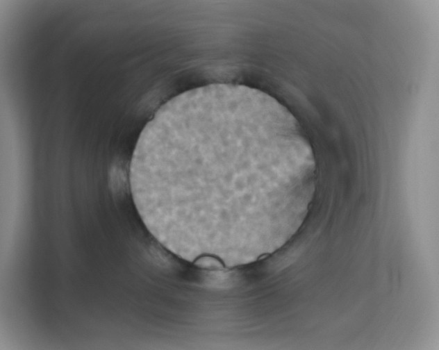 X0000111360432200907311016