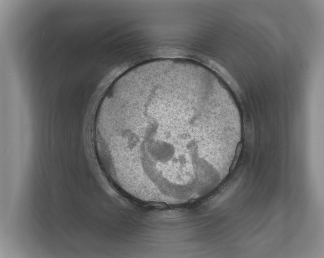 X0000111360433200907311016