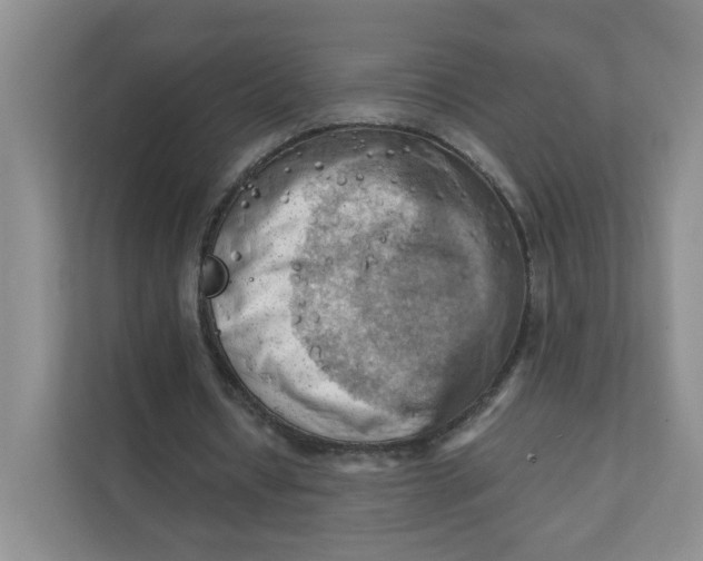 X0000111360434200907311016