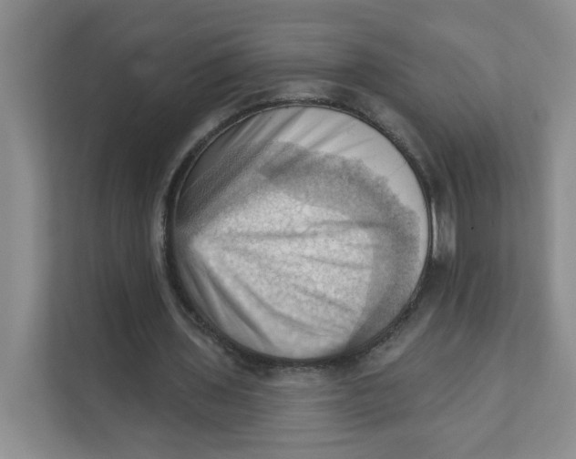 X0000111360435200907311016