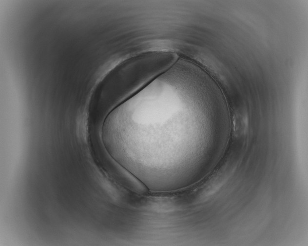 X0000111360436200907311016